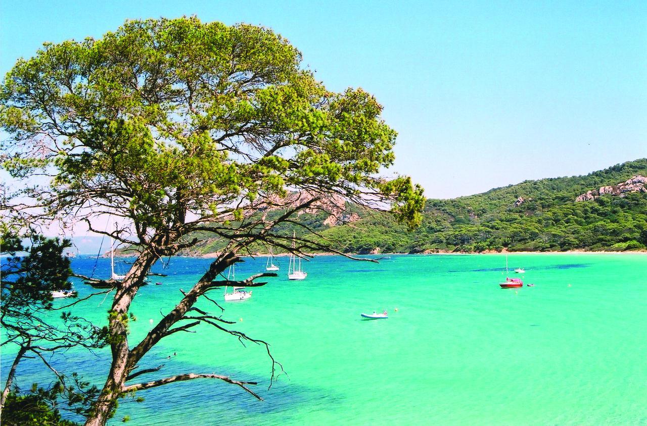 Azureva Les Maures
